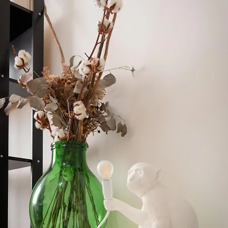 Civico 84c Stadio-vaticano-apartment Apartman